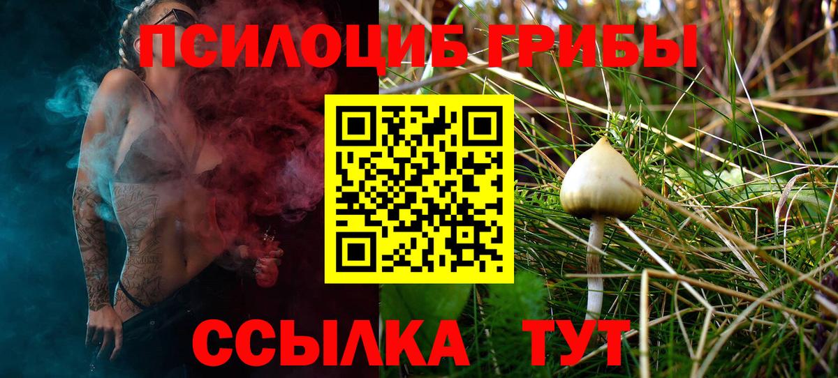 Псилоцибиновые грибы Psilocybe Старая Русса