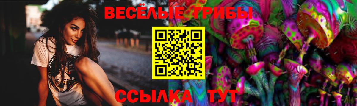 Старая Русса  Галлюциногенные грибы прущие грибы  Вход с VPN 